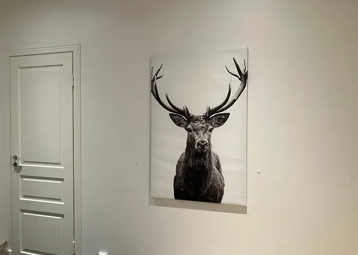 Bella Hostel Turku